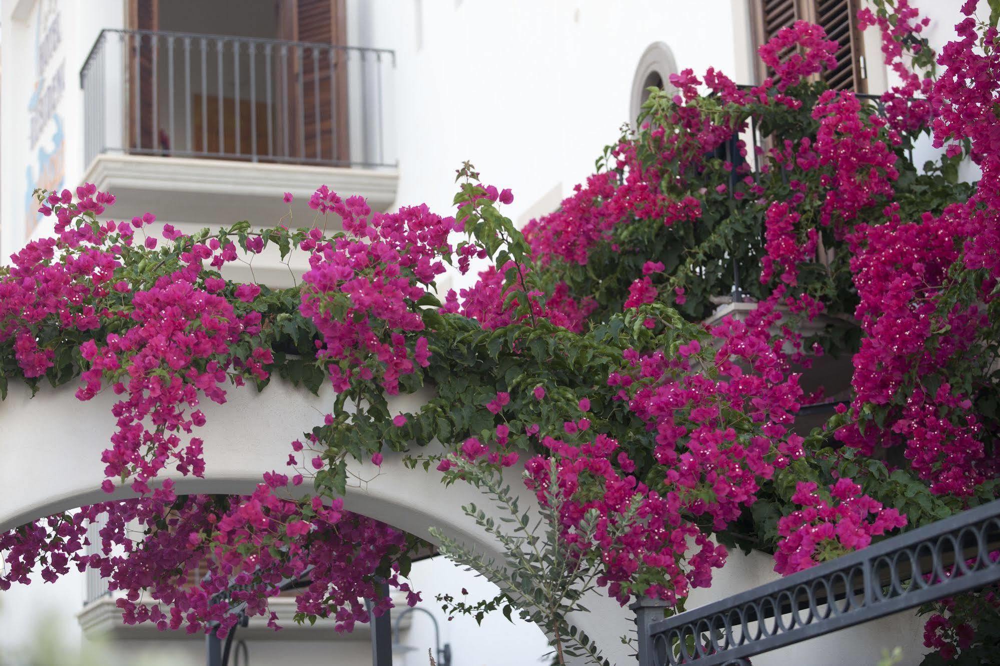 ליפארי Hotel Residence Acquacalda מראה חיצוני תמונה